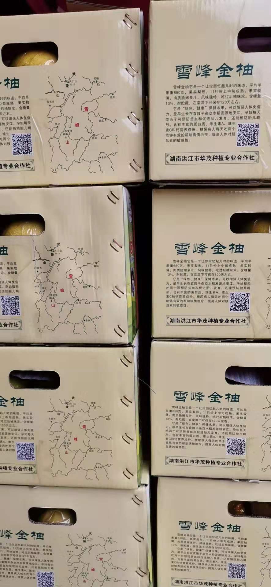 甘平果2