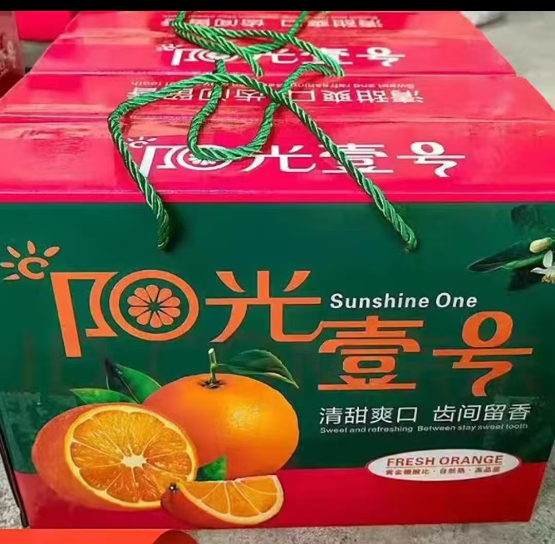 阳光一号橘柚 阳光一号橘柚