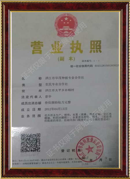 洪江市华茂种植专业合作社,洪江冰糖柚,红美人,黄桃